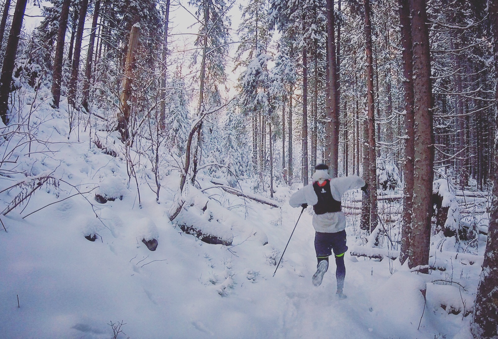 Alone in winter wonderland