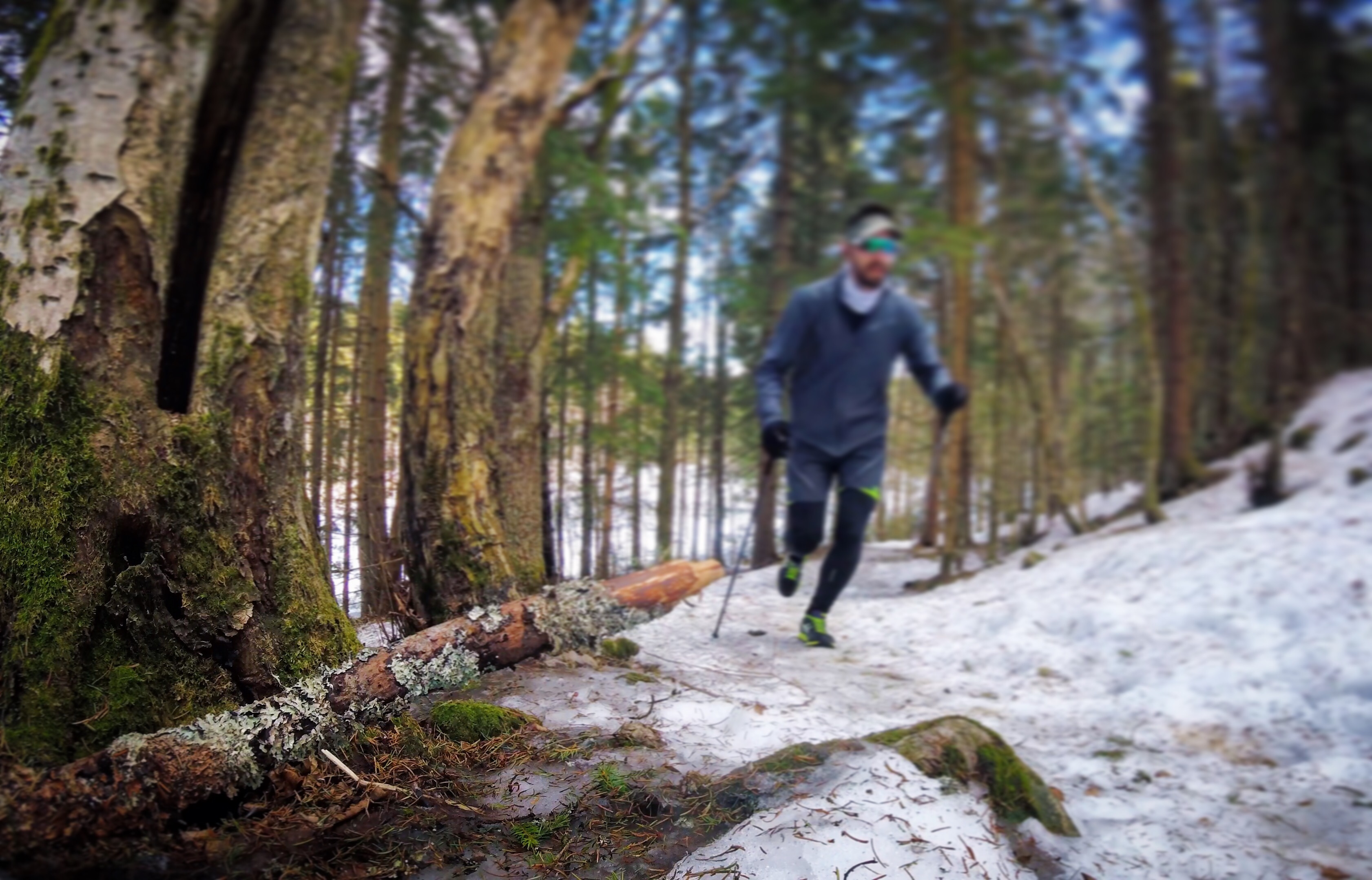 Det smelter i skogen